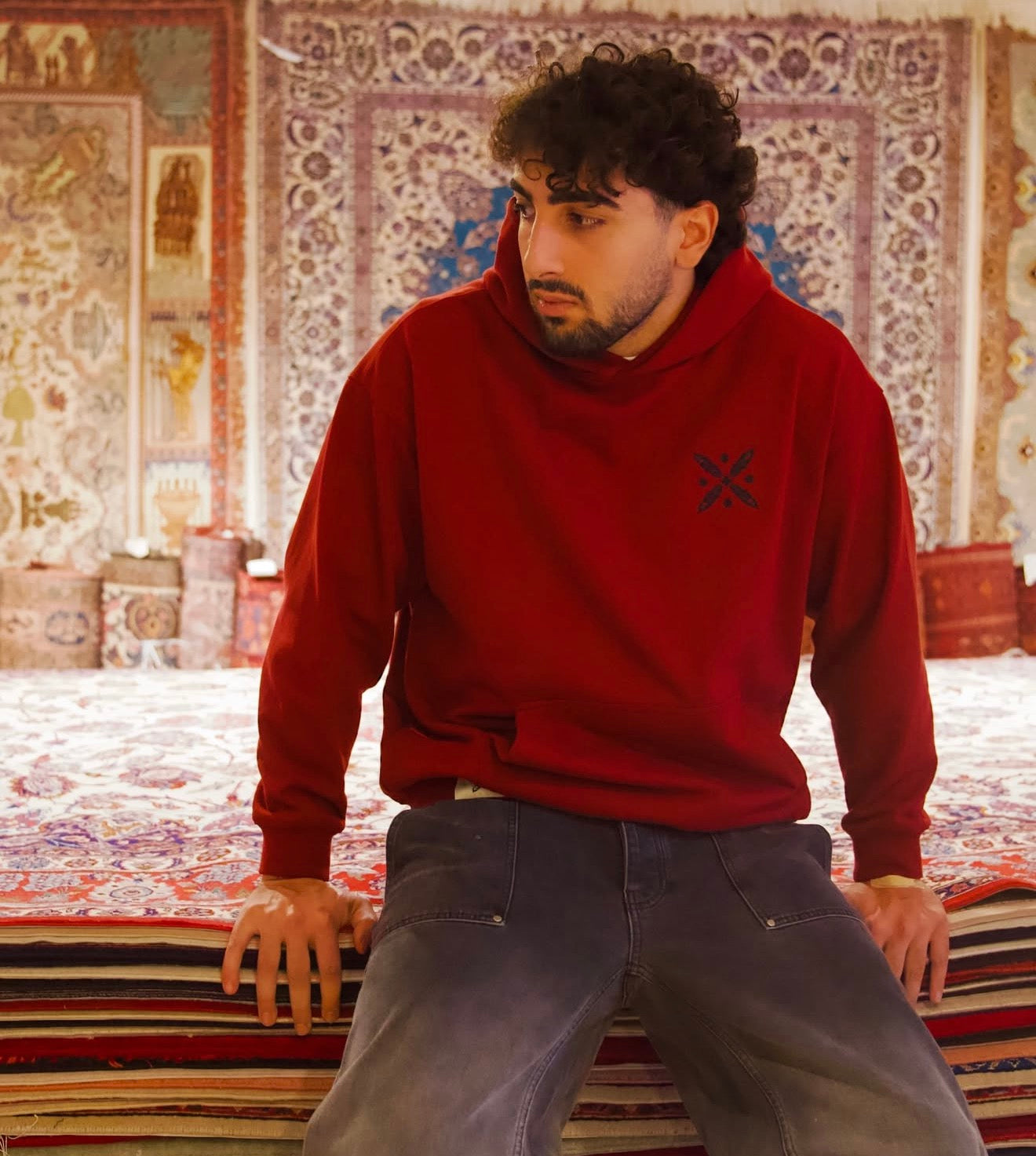 Cyrus the Great Embroidered Hoodie – Persian Streetwear | Xodafez