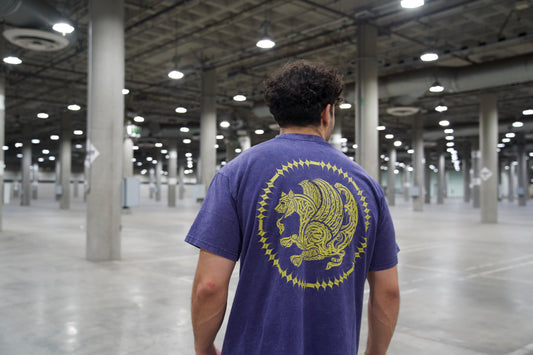 Simorgh Shirt